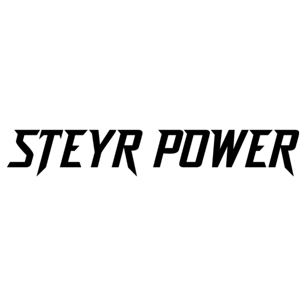 Steyr Power Aufkleber